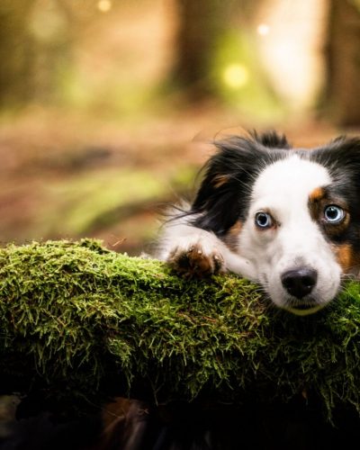 01.11.2025 Malu 02-Pano-2